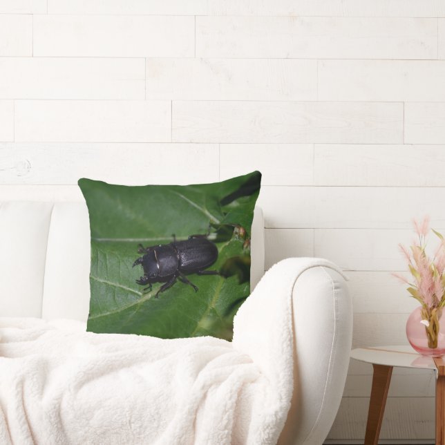 Dorcus parallelipipedus , the lesser stag beetle cushion (Couch)