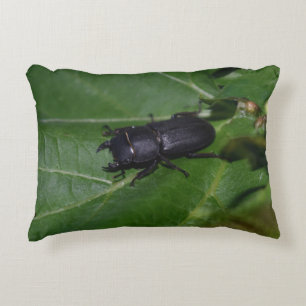 Dorcus parallelipipedus , the lesser stag beetle decorative cushion
