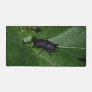 Dorcus parallelipipedus , the lesser stag beetle desk mat