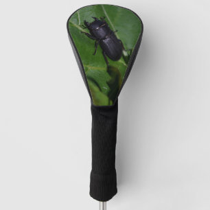 Dorcus parallelipipedus , the lesser stag beetle golf head cover