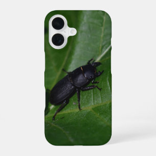 Dorcus parallelipipedus , the lesser stag beetle iPhone 16 case