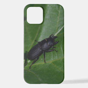 Dorcus parallelipipedus , the lesser stag beetle iPhone 12 case
