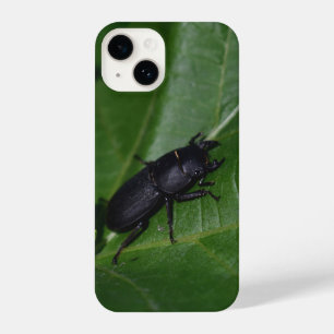 Dorcus parallelipipedus , the lesser stag beetle iPhone 14 case