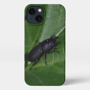 Dorcus parallelipipedus , the lesser stag beetle iPhone 13 case