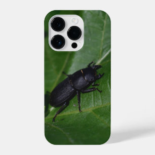 Dorcus parallelipipedus , the lesser stag beetle iPhone 14 pro case