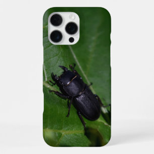 Dorcus parallelipipedus , the lesser stag beetle iPhone 16 pro max case