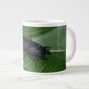 Dorcus parallelipipedus , the lesser stag beetle large coffee mug
