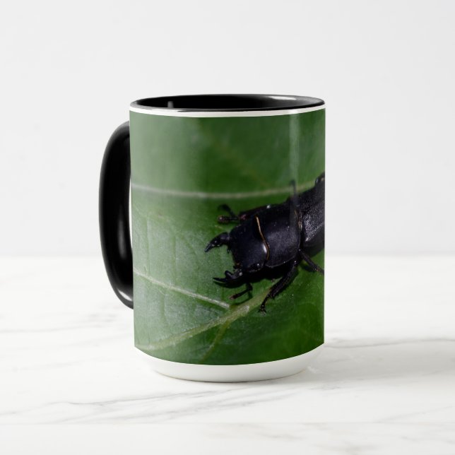 Dorcus parallelipipedus , the lesser stag beetle mug (Front Left)