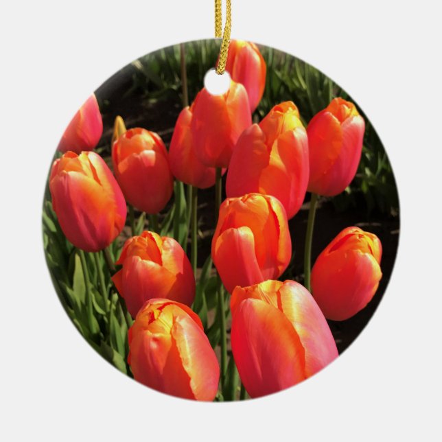 Dordogne Tulips, Oregon Ceramic Tree Decoration (Front)