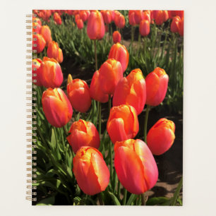 Dordogne Tulips, Oregon Planner