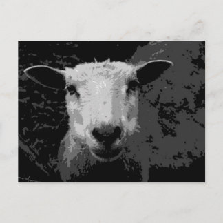 Doris the sheep postcard