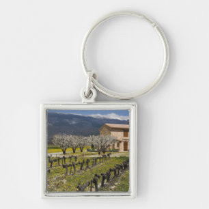 Dormant vineyard, fruit blossoms, stone house, key ring