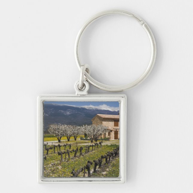 Dormant vineyard, fruit blossoms, stone house, key ring (Front)