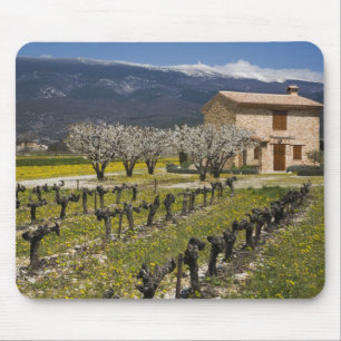 Dormant vineyard, fruit blossoms, stone house, mouse pad