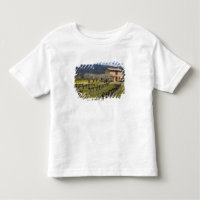 Dormant vineyard, fruit blossoms, stone house,