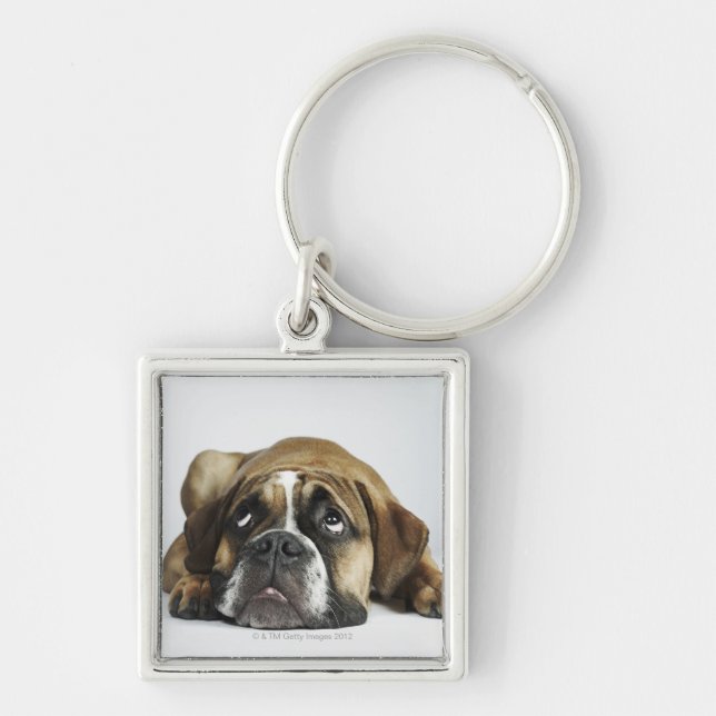 Dorset Old Tyme Bulldog Key Ring (Front)