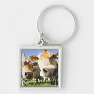 Dorset, UK Key Ring