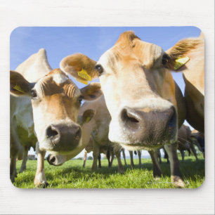 Dorset, UK Mouse Pad