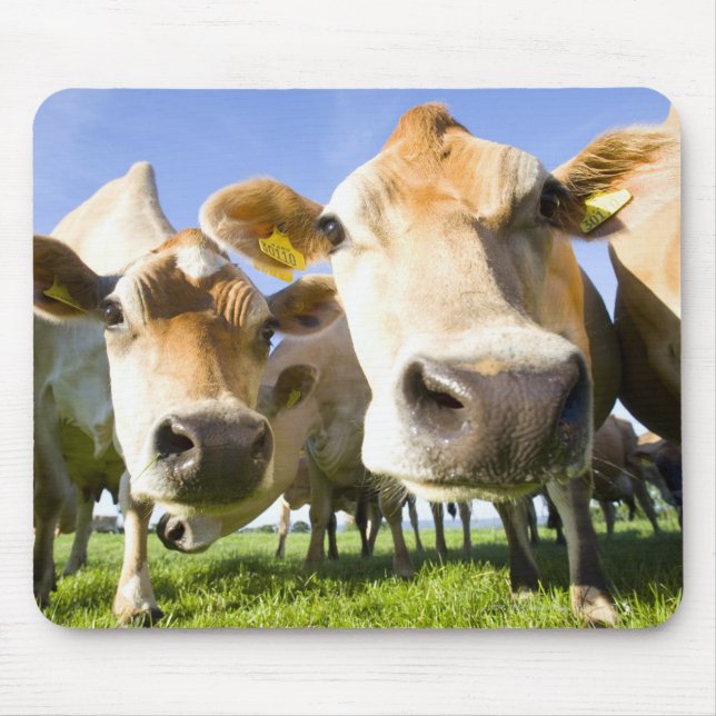 Dorset, UK Mouse Pad (Front)