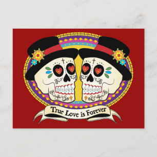 Dos Novios (2 Grooms) Postcard