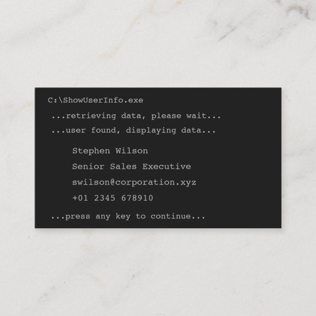 DOS Style Novelty Business Card (Front)