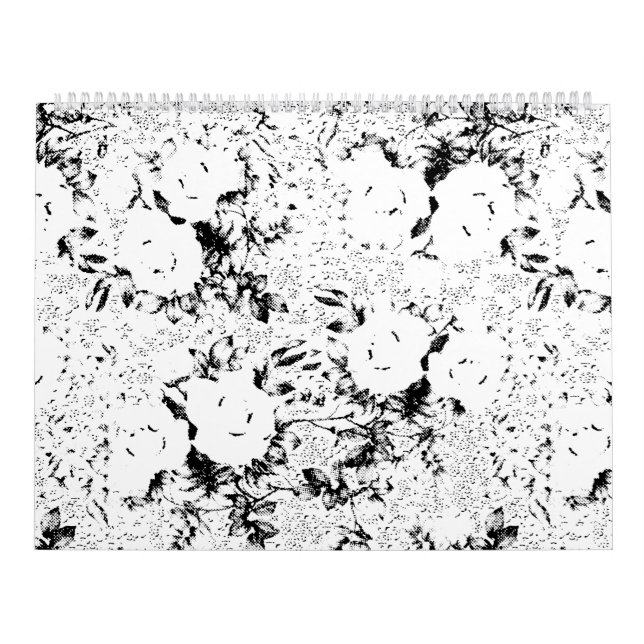 Dot, Black Cow Calendar (Cover)