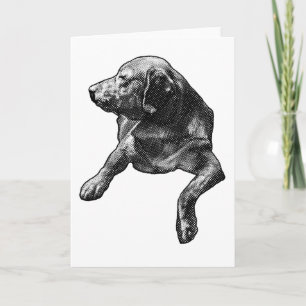 Dot-Soft Season Note from a Lab Card