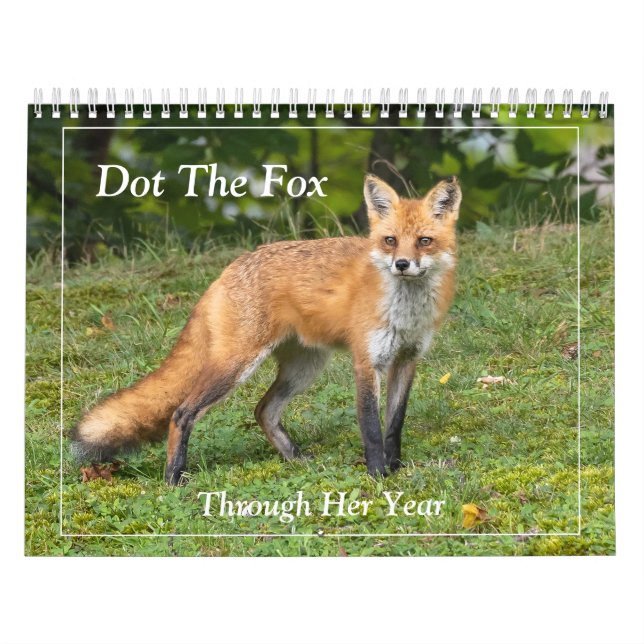 Dot The Fox Calendar (Cover)