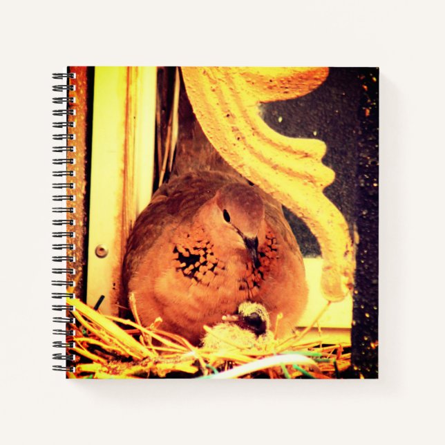 Doting Mama Dove Notebook (Front)