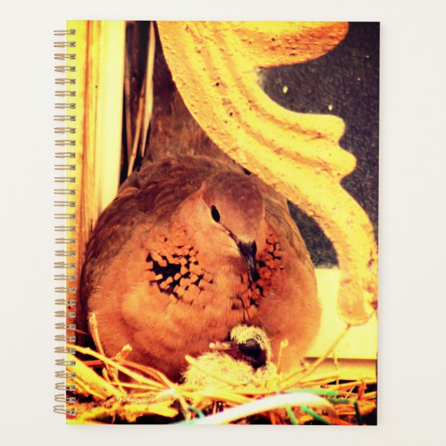Doting Mama Dove Planner (Front)