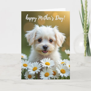 Dotted Puppy Celebration Card
