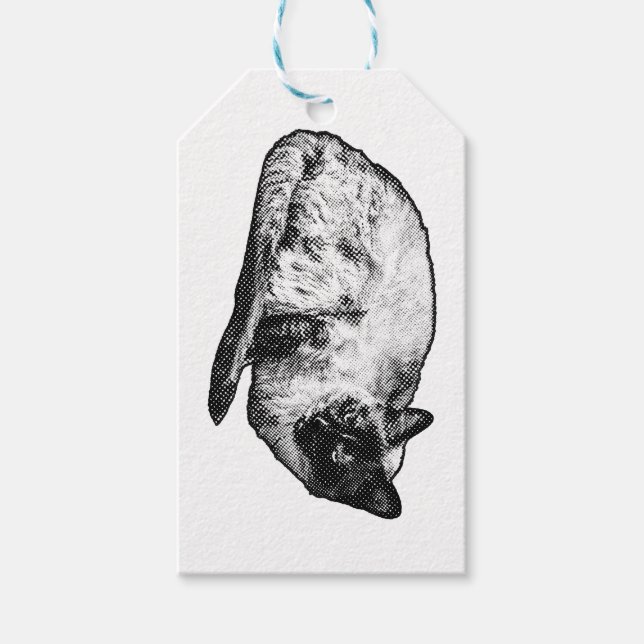 Dotted whisker gift note tags (Front)