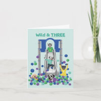 Dotty Dog Wild & Three Soft Play Ball Pit Birthday