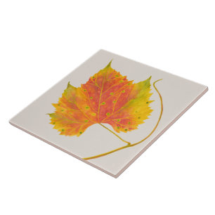 Dotty Spotty Fall on a Ceramic Tile