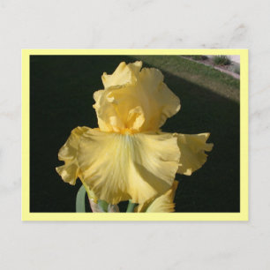 Double Agent Postcard