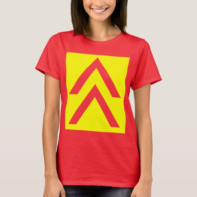 Double Arrow T-Shirt (Front)