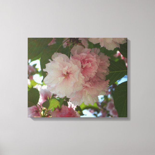 Double Blossoming Cherry Tree I Spring Floral Canvas Print (Front)