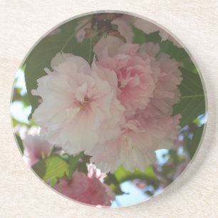 Double Blossoming Cherry Tree I Spring Floral Coaster