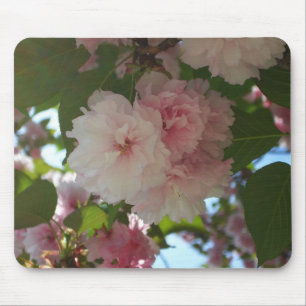 Double Blossoming Cherry Tree I Spring Floral Mouse Pad