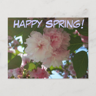 Double Blossoming Cherry Tree I Spring Floral Postcard