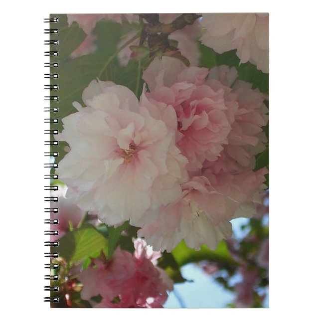 Double Blossoming Cherry Tree I Spring Floral Spiral Notebook (Front)