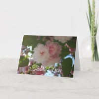 Double Blossoming Cherry Tree I Spring Floral