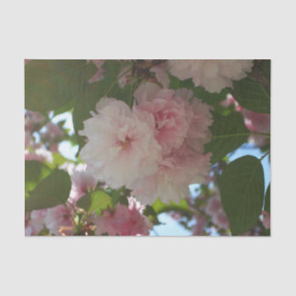 Double Blossoming Cherry Tree I Spring Floral Tissue Paper