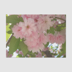 Double Blossoming Cherry Tree II Spring Floral Tissue Paper