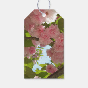 Double Blossoming Cherry Tree III Spring Floral Gift Tags