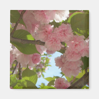 Double Blossoming Cherry Tree III Spring Floral Magnet