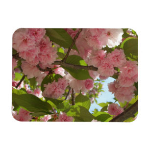 Double Blossoming Cherry Tree III Spring Floral Magnet