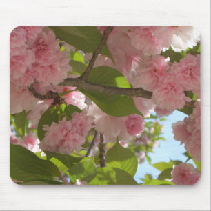 Double Blossoming Cherry Tree III Spring Floral Mouse Pad