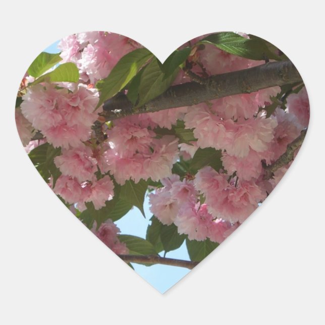 Double Blossoming Cherry Tree IV Spring Heart Sticker (Front)