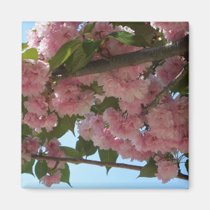 Double Blossoming Cherry Tree IV Spring Magnet